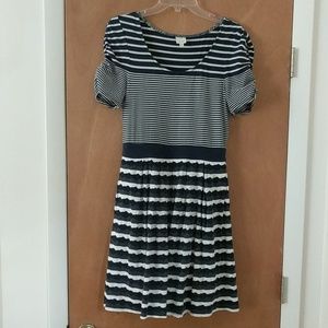 Anthropologie Fit and Flare Dress